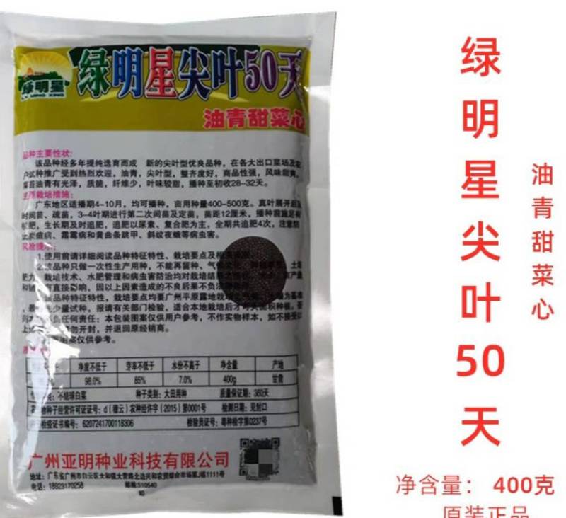 耐热绿明星50天尖叶油青甜菜心种子宁夏菜心种子