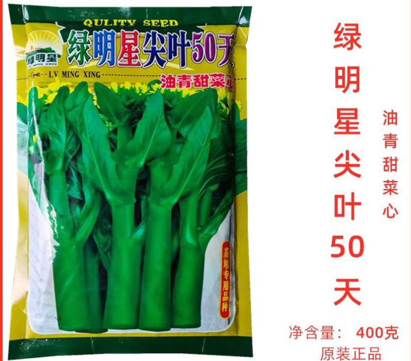 耐热绿明星50天尖叶油青甜菜心种子宁夏菜心种子