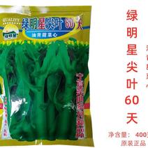 厂家直销耐热绿明星60天种植基地专用种尖叶甜广东菜心种子