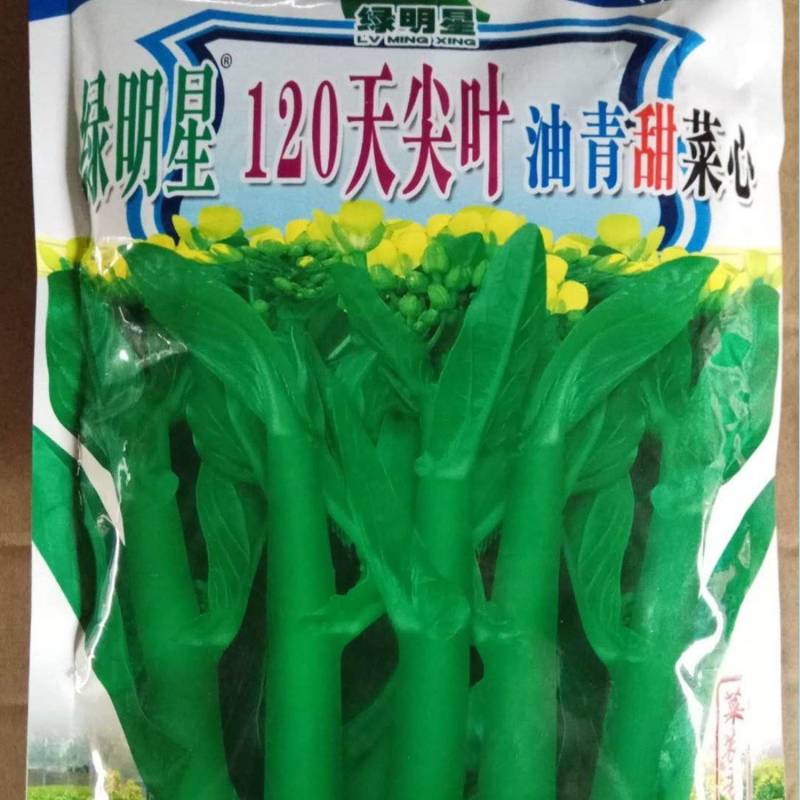 便宜！耐寒绿明星120天尖叶油青甜广东菜心种子宁夏菜心种子