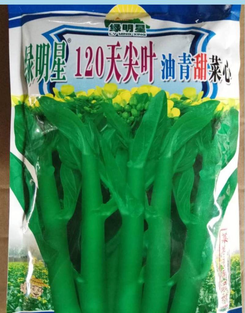 便宜！耐寒绿明星120天尖叶油青甜广东菜心种子宁夏菜心种子