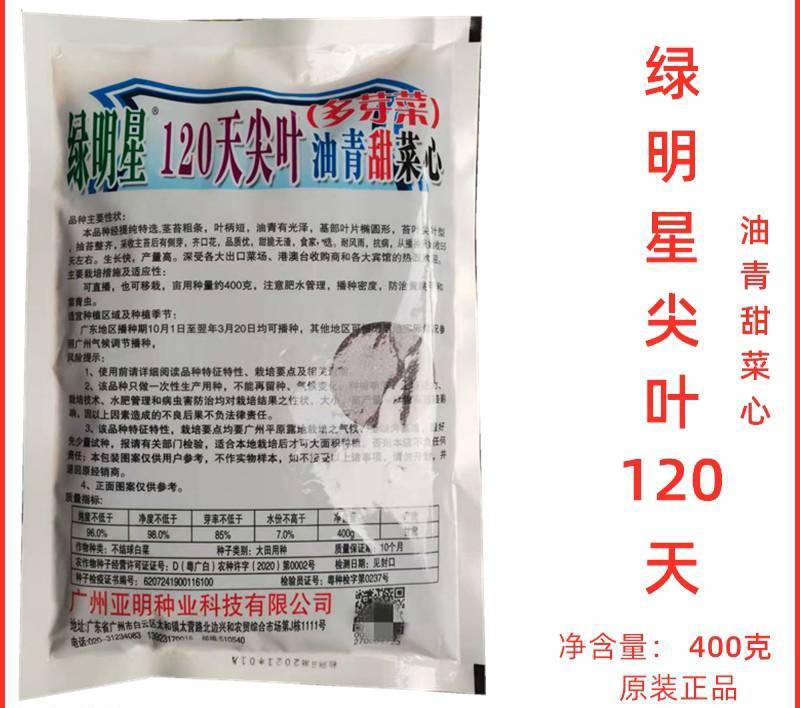便宜！耐寒绿明星120天尖叶油青甜广东菜心种子宁夏菜心种子