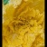 娃娃菜自产自销现货一手货源有需要的老板欢迎联系