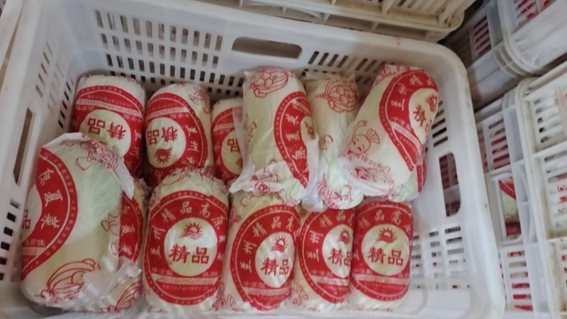 各种蔬菜