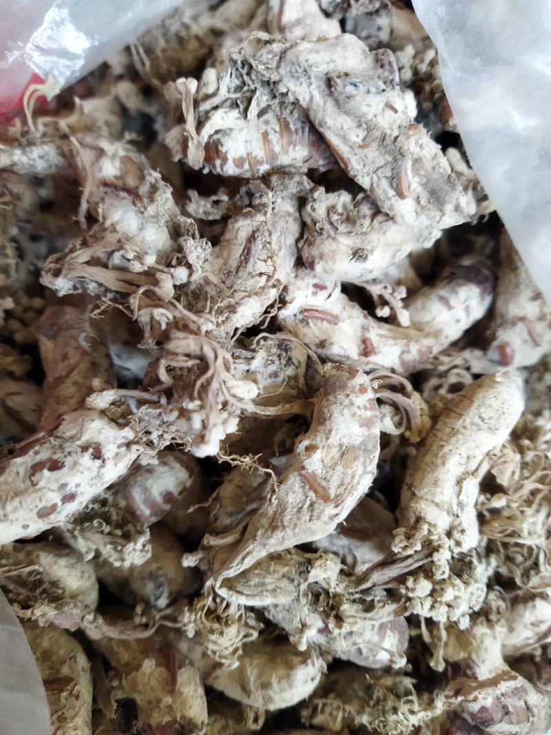 精品金蝉花，支持一件代发