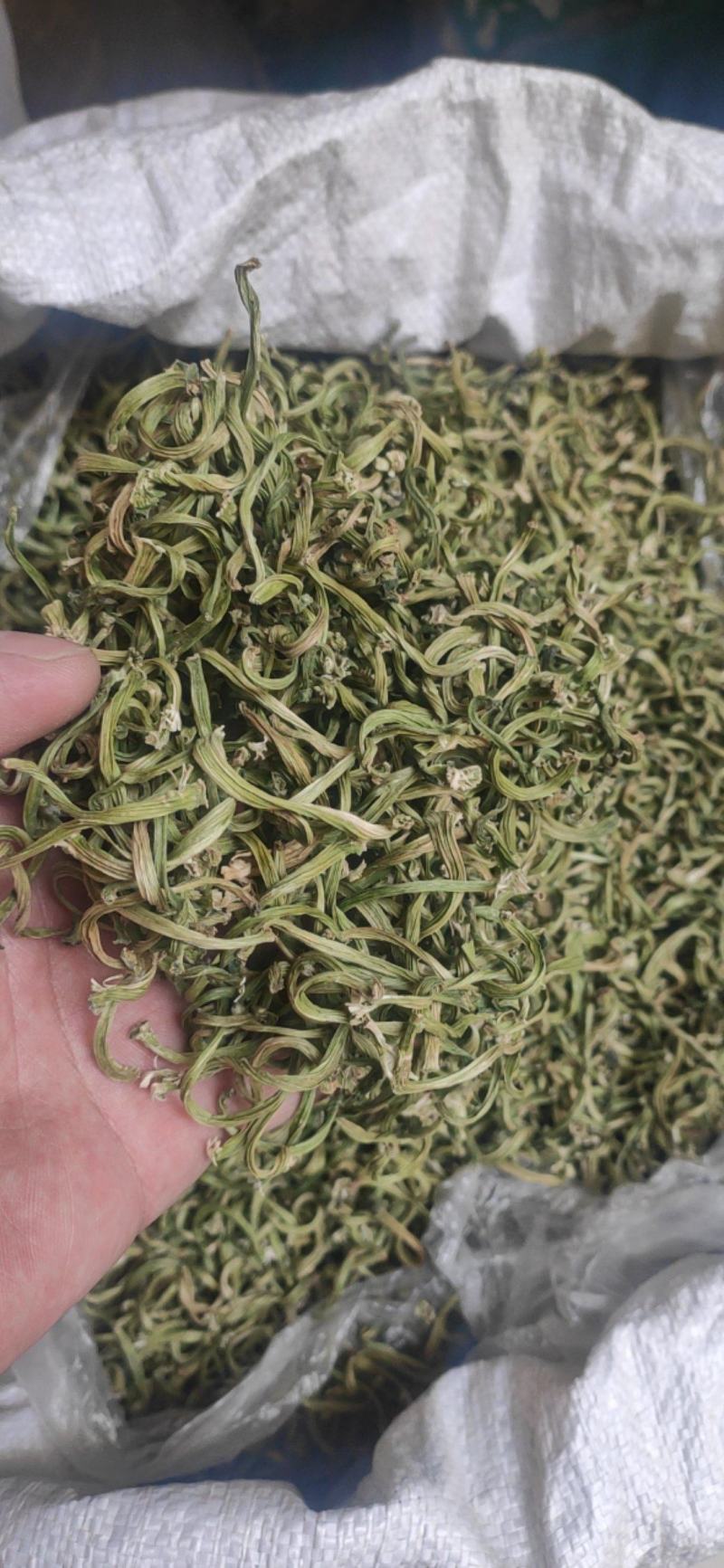 苦丁香甜瓜蒂干货中药材欢迎选购！