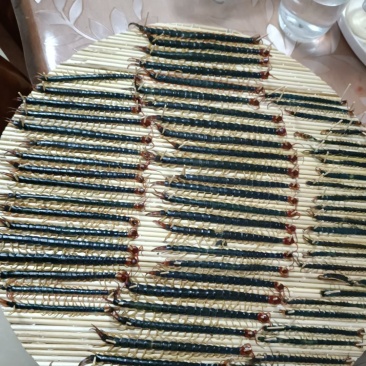 野生蜈蚣，13-15CM