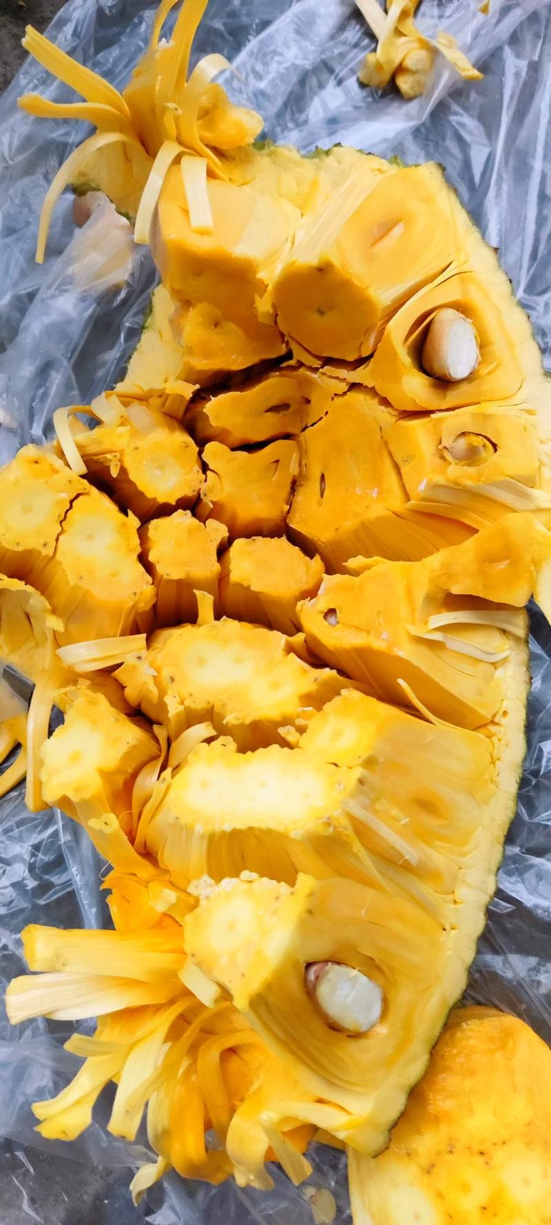 广东黄肉菠萝蜜，皮薄肉厚，浓香超甜，一手货源，果园直供