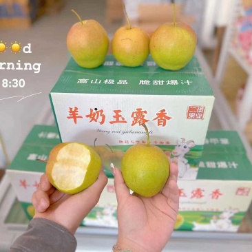 玉露香梨