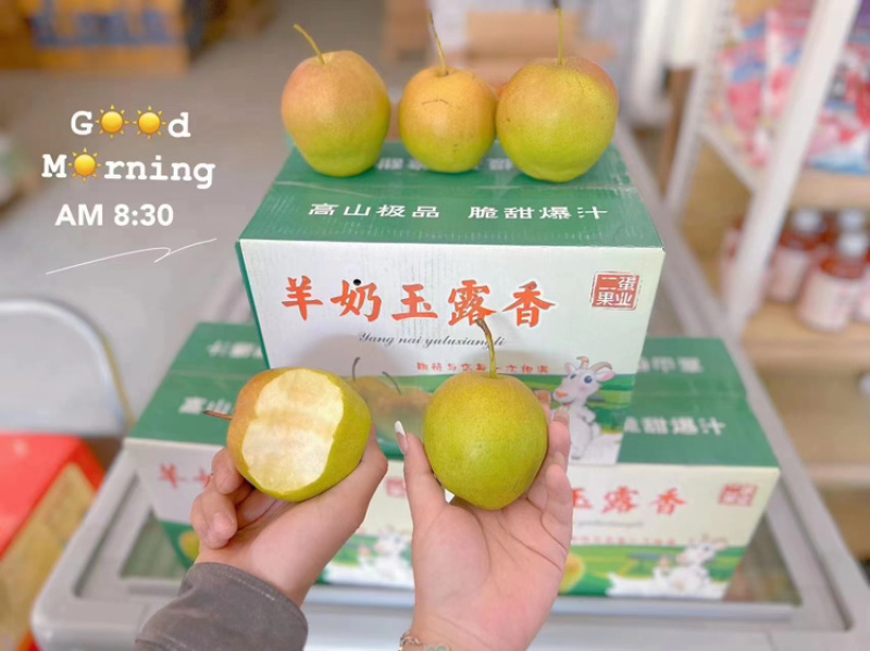 玉露香梨