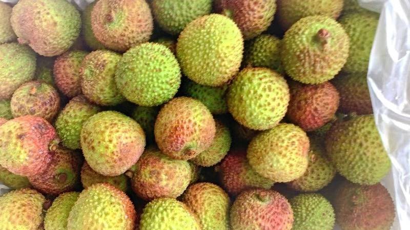 带绿荔枝果实特写