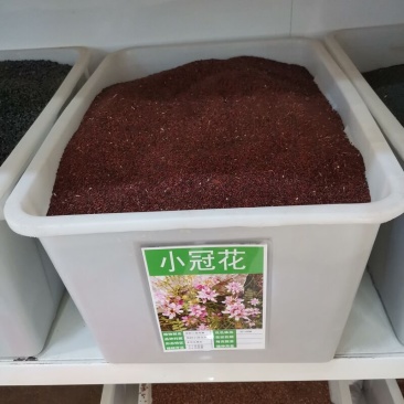小冠花种子种籽庭院护坡观赏花籽出芽率高品质保证欢迎来电