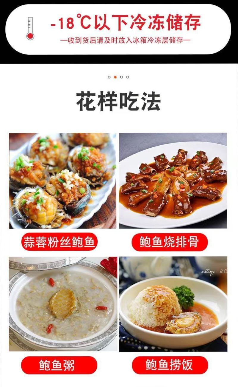 新活冷冻鲍鱼12-40头鲍鱼新鲜海鲜水产贝类包邮批发零