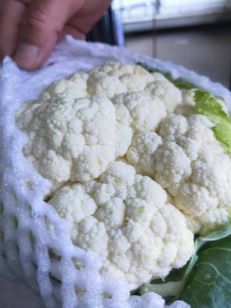 【热】有机花菜白面青梗松花菜精品1-3斤提供冷库预冷