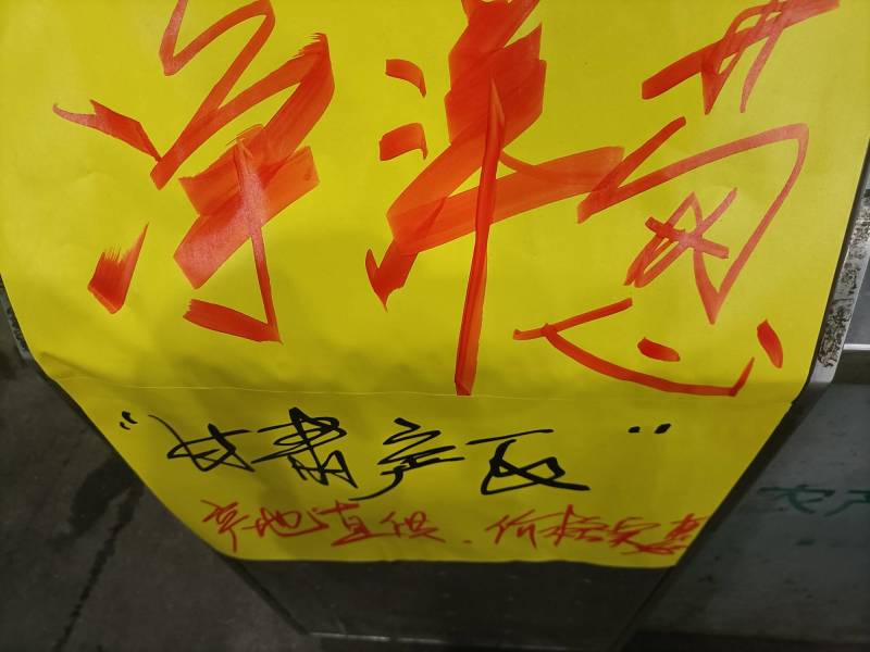洋葱肉供应香港、深圳