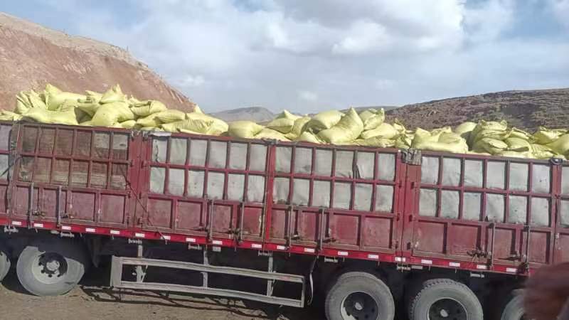 波尔山羊运输途中