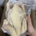 广东捷源白切鸡（散养走地鸡）
