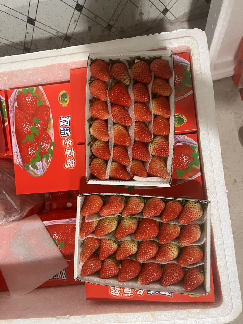 优质蒙特瑞新鲜草莓烘焙冷饮糖葫芦一手货源欢迎订购