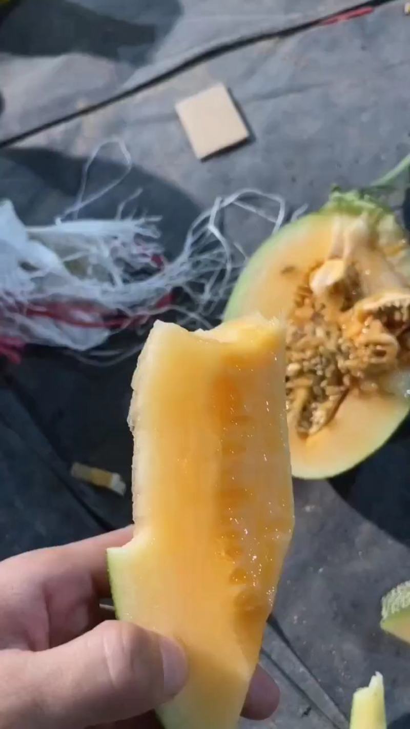 海南哈密瓜晓蜜25哈密瓜新鲜水果承接全国电超市场团购