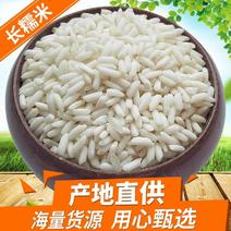 长粒糯米批发白粘米五谷杂粮粮食长江米