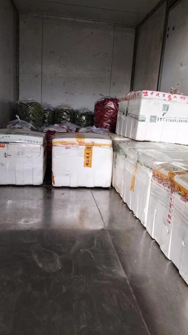 【荐】福建省漳州韭菜大量供应全国发货可视频看货