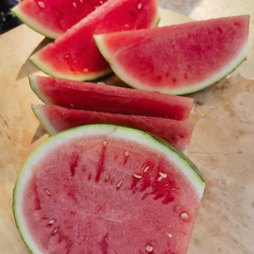 711西瓜，夏邑