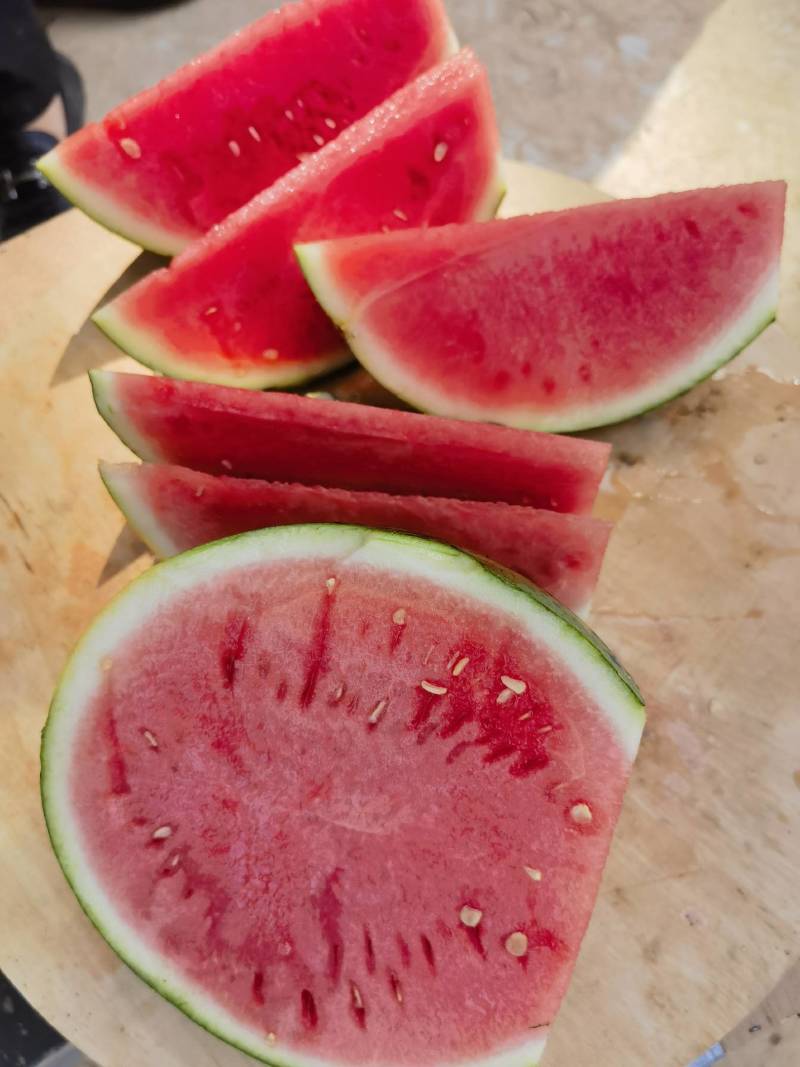711西瓜，夏邑