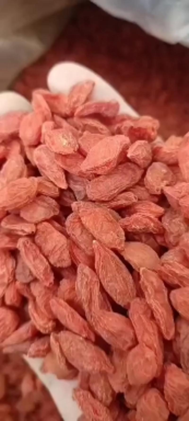 包邮大颗粒红枸杞，宁夏中宁发货150粒的质量好欢迎下单