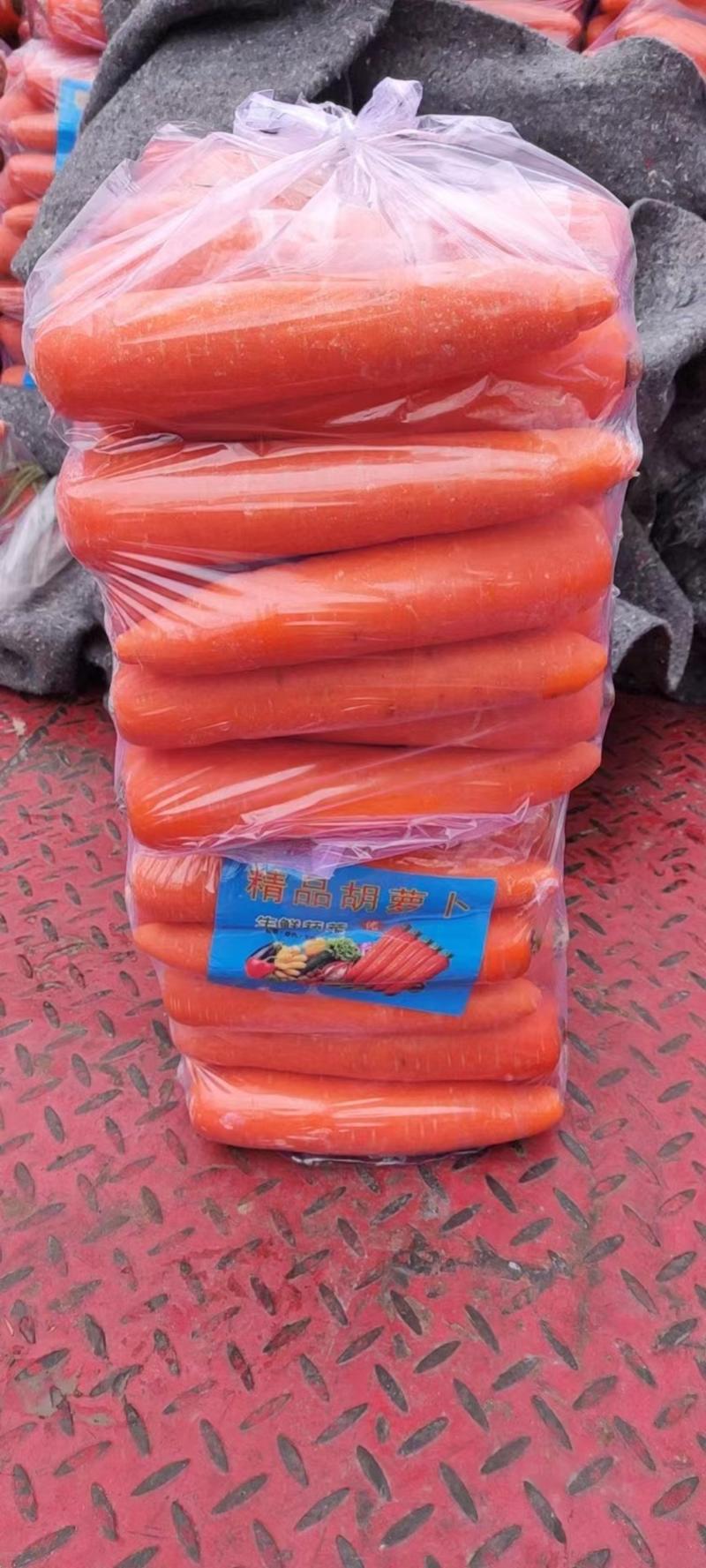 精品三红红萝卜河南开封产地大量上市供应全国