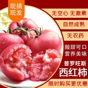 [精品西红柿]泾阳县普罗旺斯水果西红柿各种规格欢迎下单