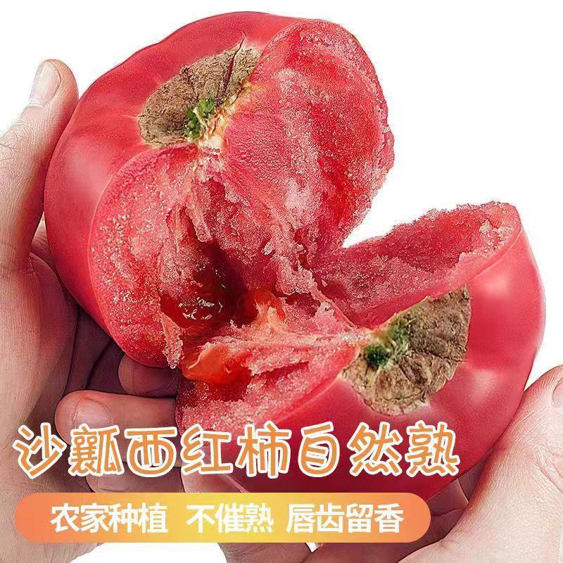 [精品西红柿]泾阳县普罗旺斯水果西红柿各种规格欢迎下单