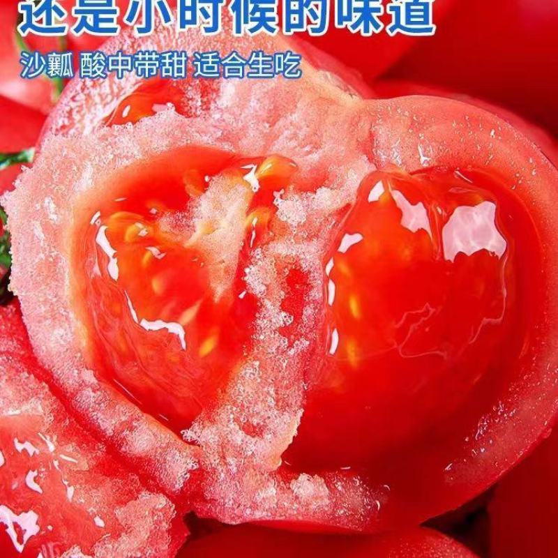[精品西红柿]泾阳县普罗旺斯水果西红柿各种规格欢迎下单