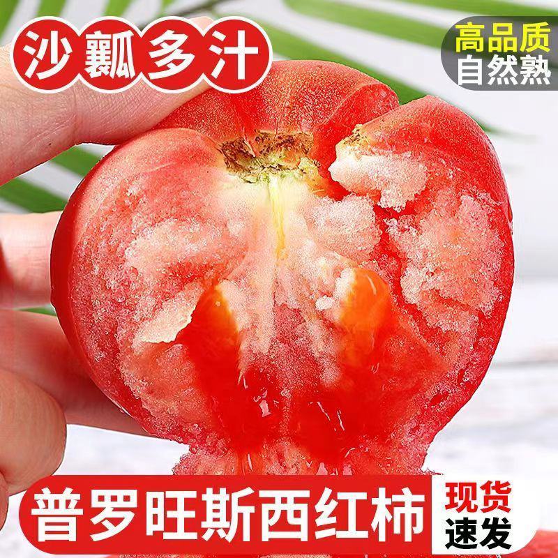 [精品西红柿]泾阳县普罗旺斯水果西红柿各种规格欢迎下单