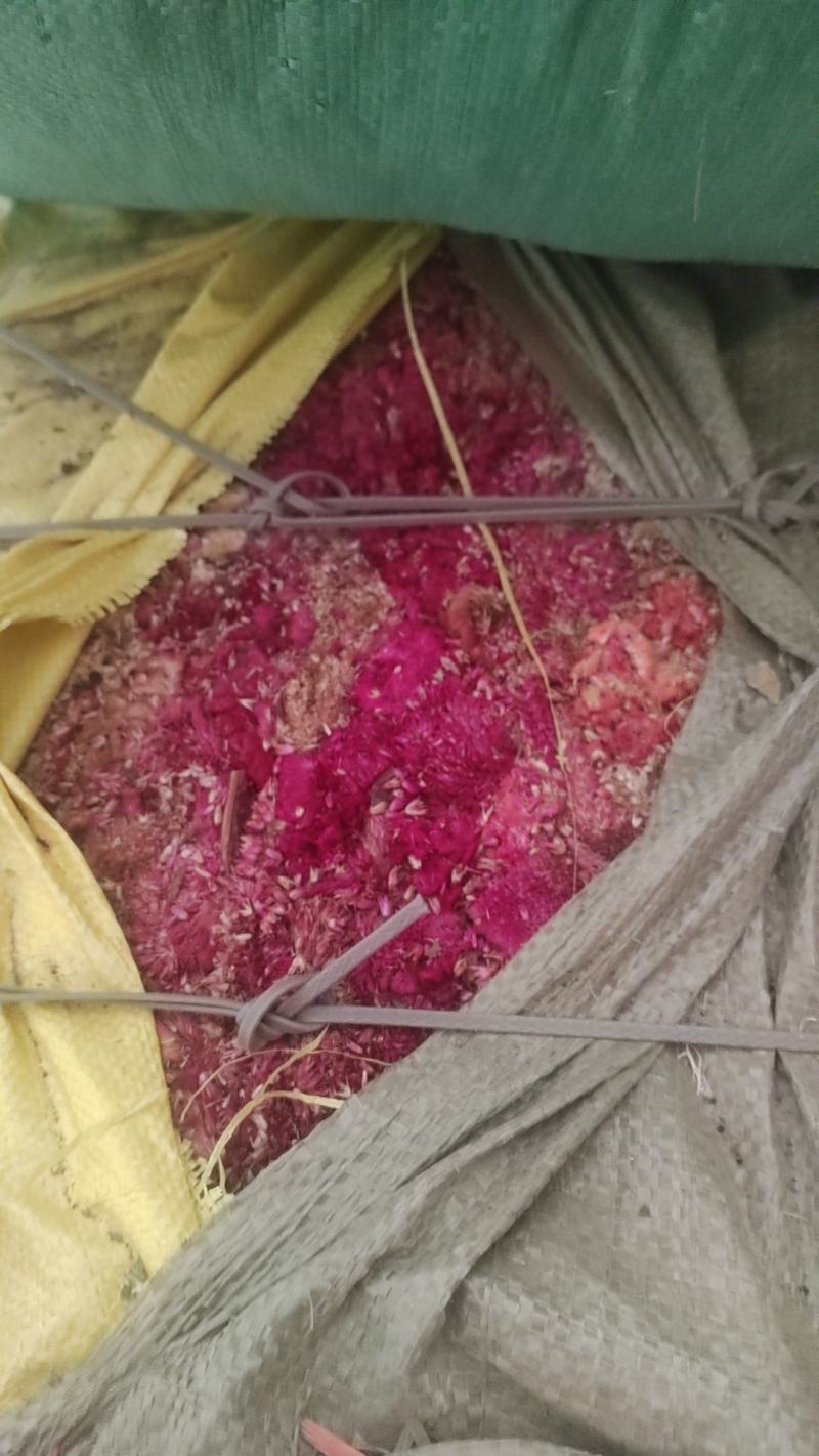 徐州精品鸡冠花，产地直发，保质保量，欢迎老板选购