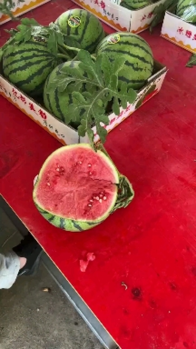 麒麟西瓜产地直供品质保障视频看货选货，电商平台供