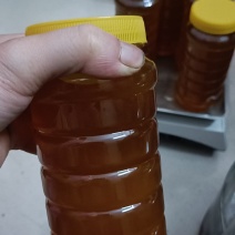正宗天然土蜂蜜