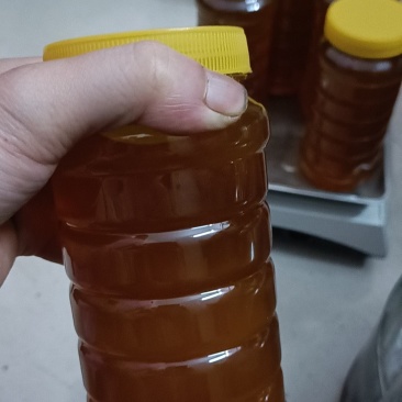 正宗天然土蜂蜜