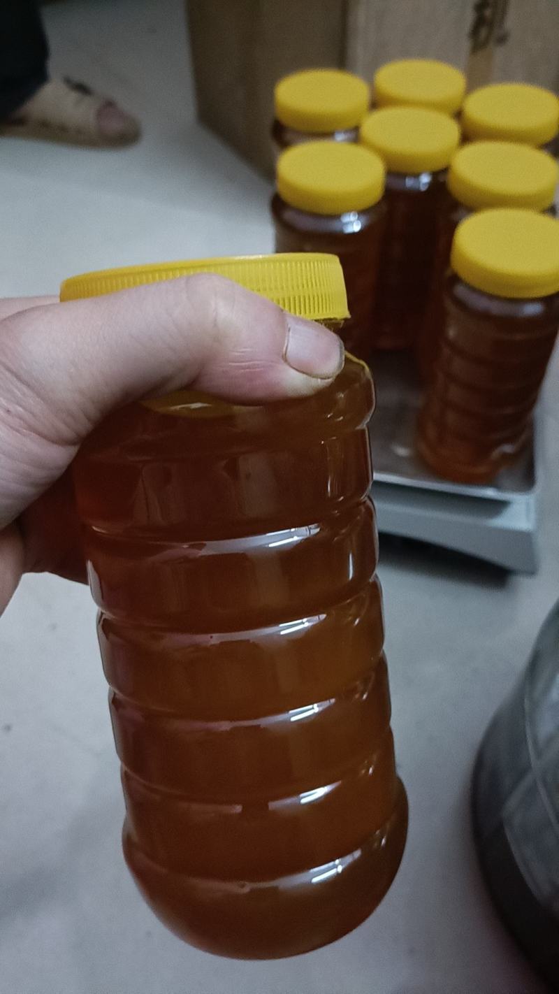 正宗天然土蜂蜜