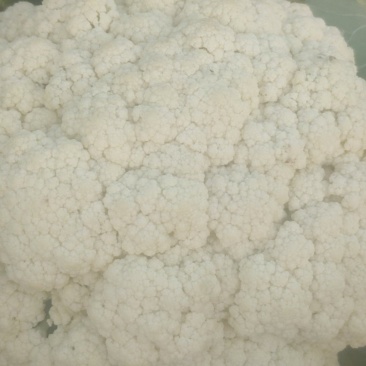 有机花菜，质量好，冷库前期花，，品质不错，
