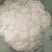 有机花菜，质量好，冷库前期花，，品质不错，