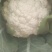 有机花菜，质量好，冷库前期花，，品质不错，