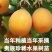 哥伦比亚热情百香果