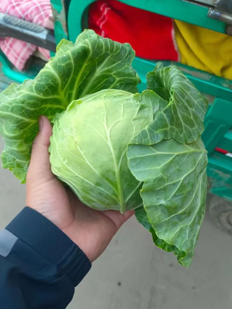 散花
