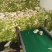 春罗卜大量供应