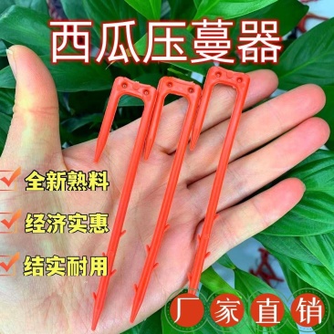西瓜压蔓器秧苗固定器西瓜叉子藤蔓瓜秧固定器西瓜藤卡子压瓜