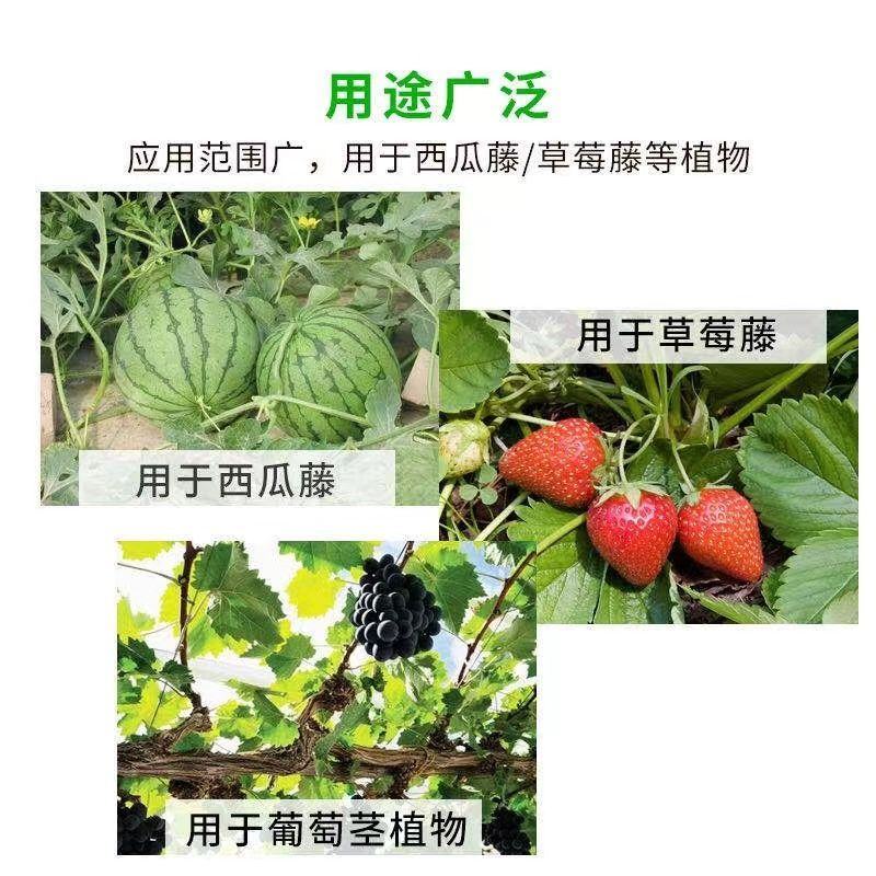 西瓜压蔓器秧苗固定器西瓜叉子藤蔓瓜秧固定器西瓜藤卡子压瓜