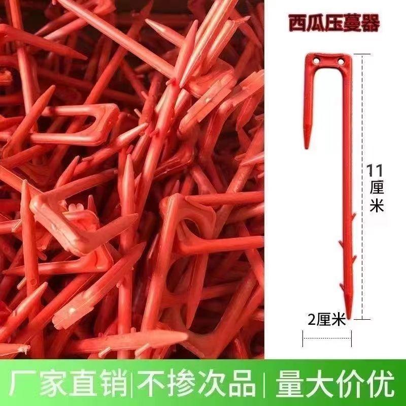 西瓜压蔓器秧苗固定器西瓜叉子藤蔓瓜秧固定器西瓜藤卡子压瓜