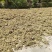 水苔、海花草、泥炭藓