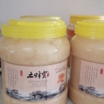 土蜂蜜中华蜂蜜农户自产