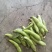 汉中蚕豆质量好，豆角大，出米高，欢迊选购